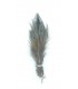 Ringneck rump hackle bleached natural - Flyco