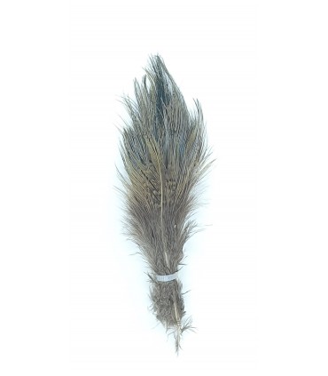 Ringneck rump hackle bleached natural - Flyco