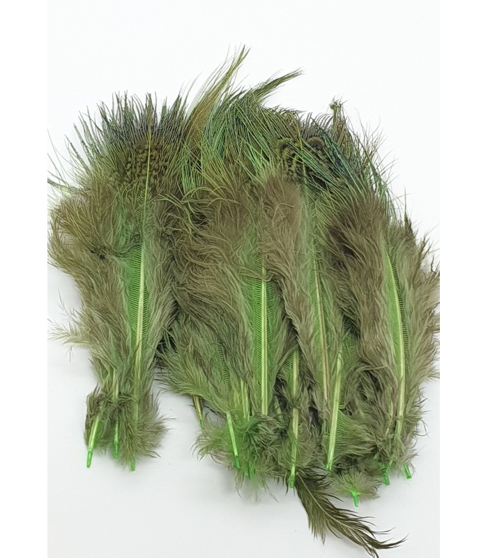 Ringneck rump hackle - Flyco