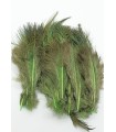 Ringneck rump hackle - Flyco