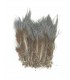 Ringneck rump hackle - Flyco