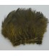 Ringneck rump hackle - Flyco