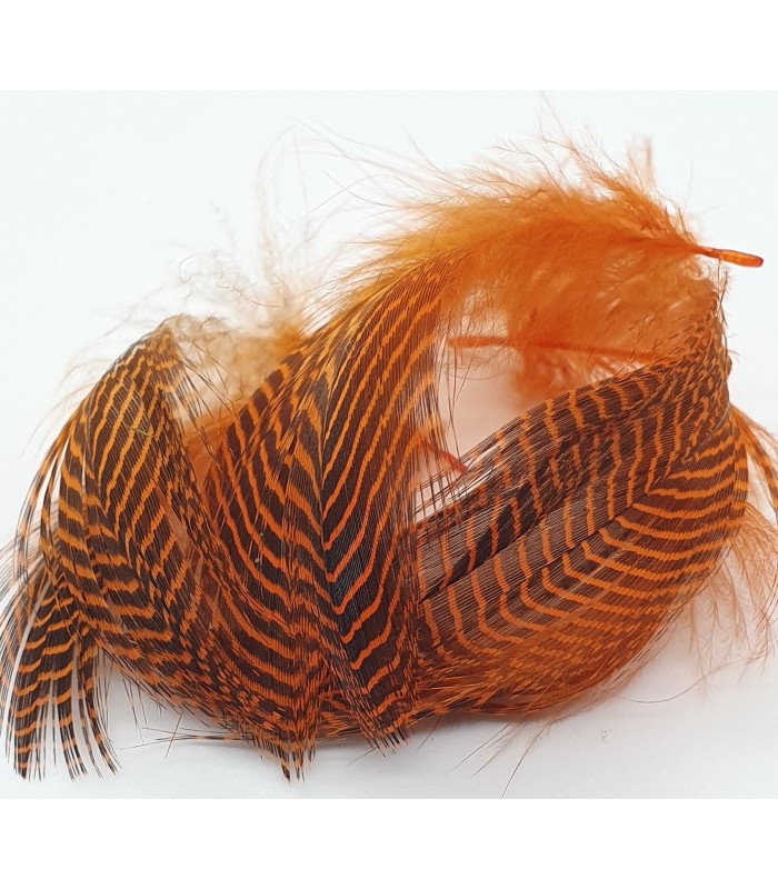 Teal flank feather - Flyco