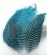 Teal flank feather - Flyco