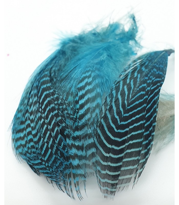 Teal flank feather - Flyco