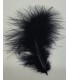 Marabou