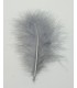 Marabou