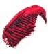 Golden pheasant complete head dyed red