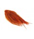 Rooster saddle feather