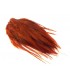 Rooster saddle feather