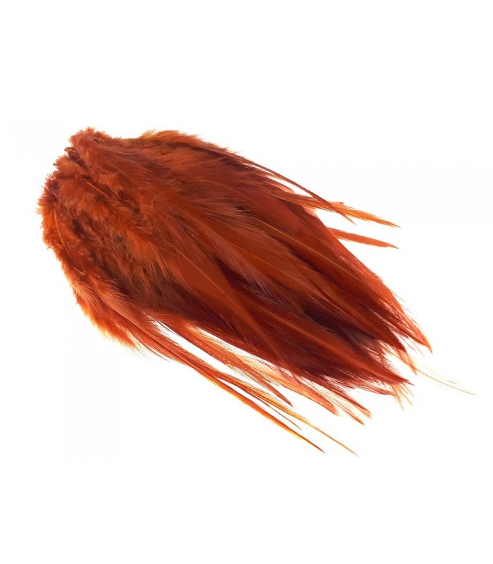 Rooster saddle feather