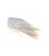 Rooster saddle feather