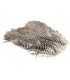 Soft hackle patch