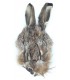 Hares mask