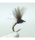 CDC midge emerger