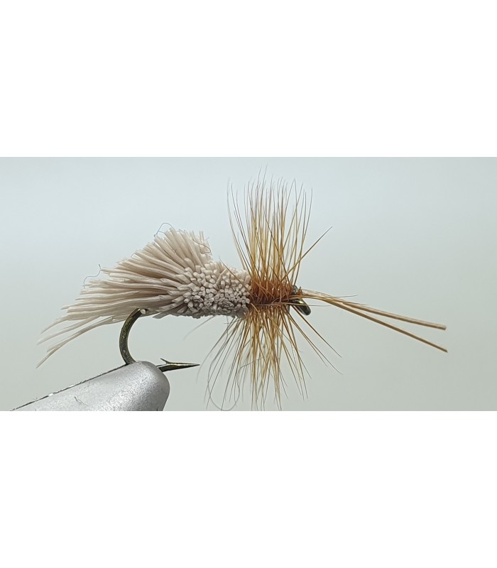 Goddard caddis