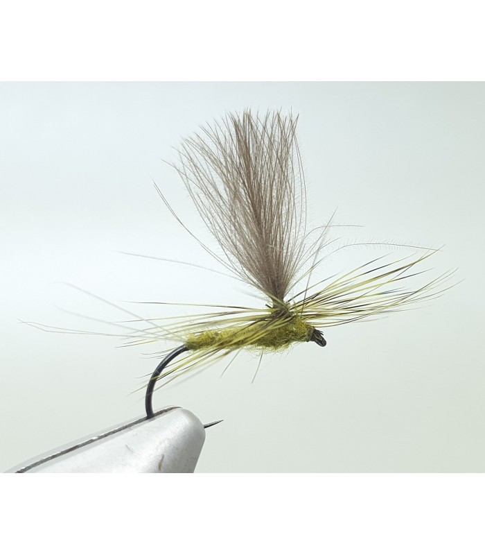 Mayfly paradun olive