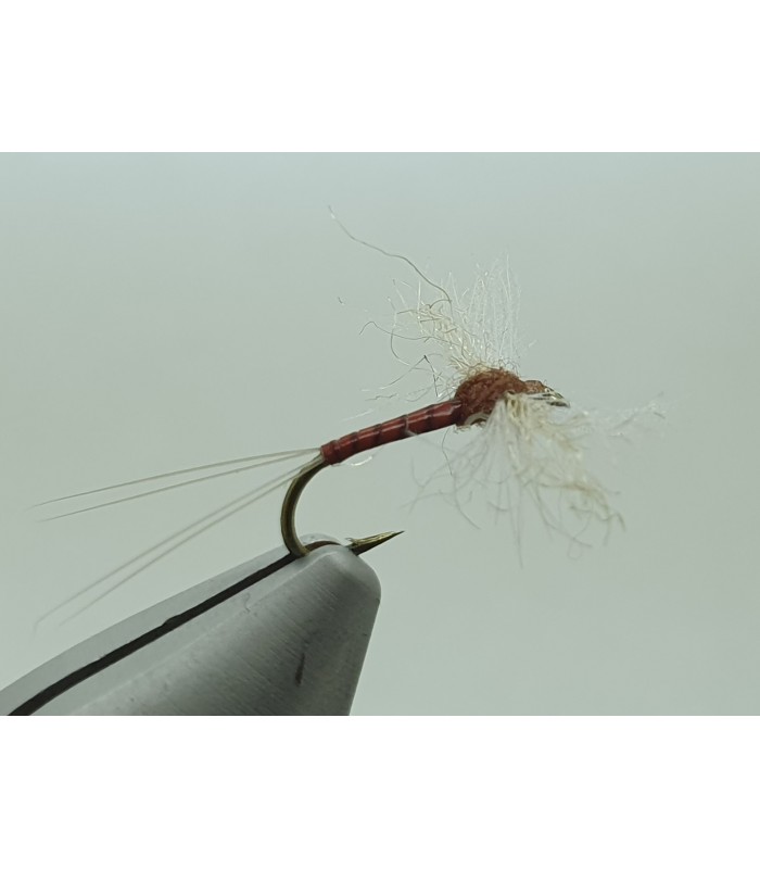 Mayfly spent spinner