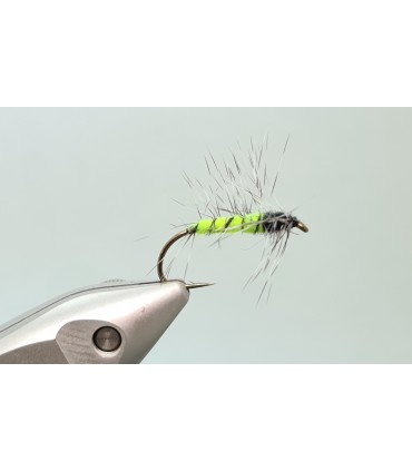 Superpuppan chartreuse/black