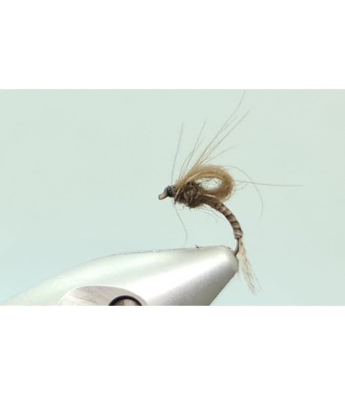 CDC loopwing emerger gray