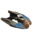 Blue jay wings - Veniard