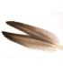 Mallard duck wing quills gray - Veniard