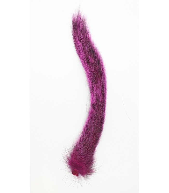 Squirrel tail - Horns