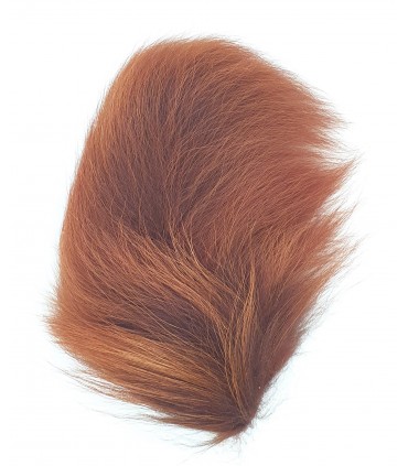 Horn's Raccoon tail