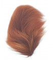 Horn's Raccoon tail